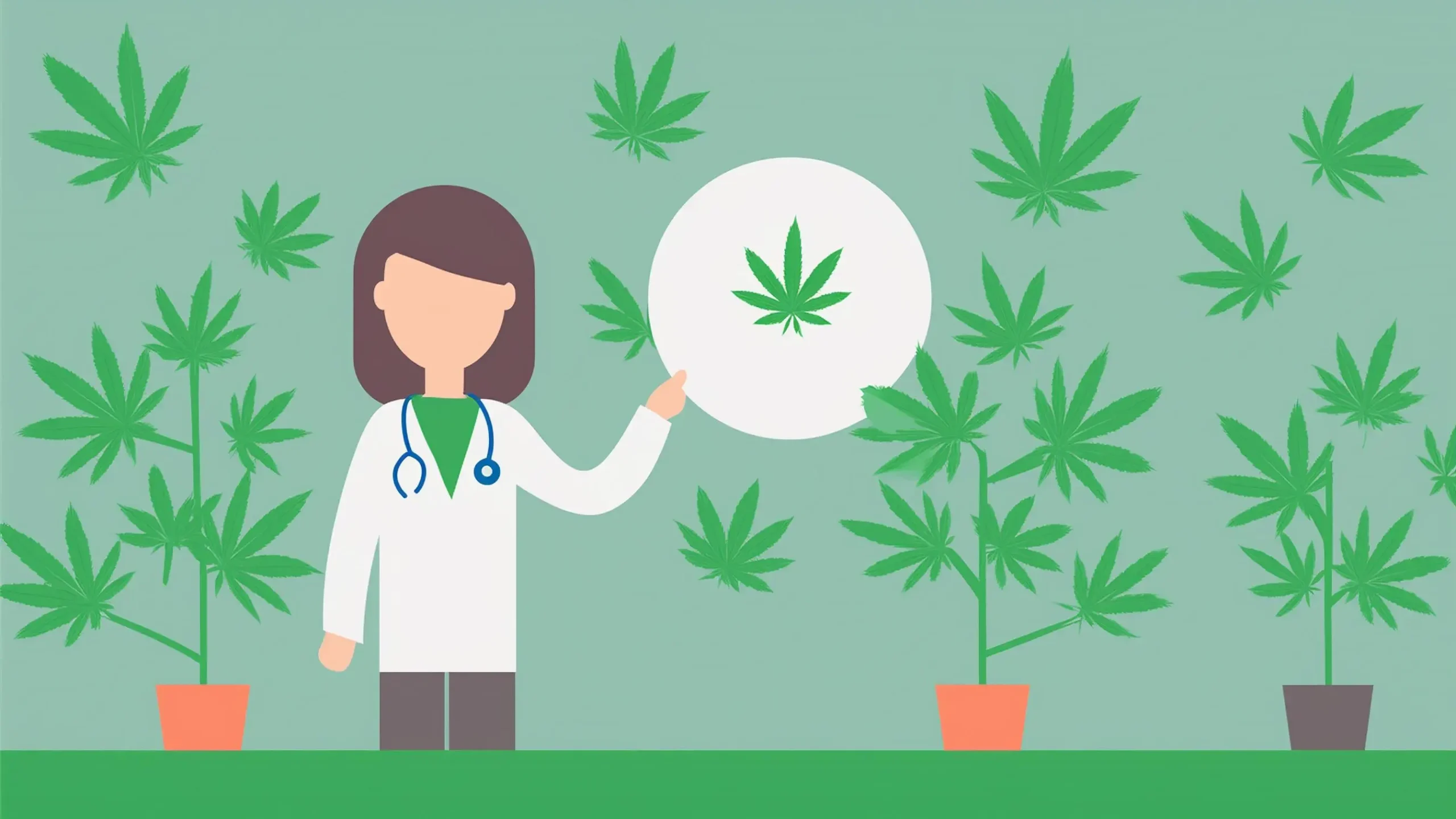 medyczna marihuana Poznań promocja